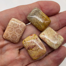 Load image into Gallery viewer, Fossilized Coral Rectangle Pendant Beads | 24x17x7mm | Red, Brown | 4 Beads |