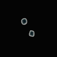 Load image into Gallery viewer, 2 Natural Black 0.1cts Diamond Beads 8954C