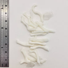 Load image into Gallery viewer, Coral Branch Beads | 26x3 to 19x2mm | White | 15 Beads |