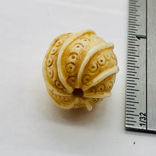 Load image into Gallery viewer, Carved Octopus Tentacle Swirl Waterbuffalo Bone Bead 10760A