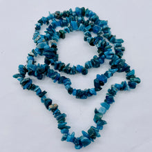 Load image into Gallery viewer, Apatite Bead Strand | Chip | 11x8x5 to 7x5x4mm | Blue | 200 Beads |
