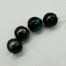 Load image into Gallery viewer, Blue Freshwater Pearl Beads 11mm Round 4 Pearls Parcel Jewelry Making