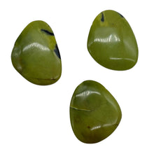 Load image into Gallery viewer, Turquoise Faustite | 32x24 to 30x25mm | Chartreuse, Black | 3 Beads