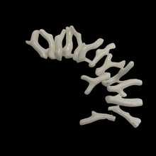 Load image into Gallery viewer, Coral Branch beads | 20x3 to 17x2mm | White | 17 Beads |