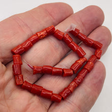 Load image into Gallery viewer, Natural AAA Red Coral Branch Bead Strand | 6x4mm | 32 Beads |