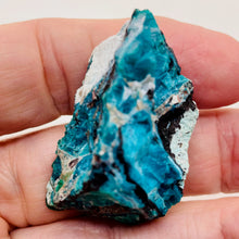 Load image into Gallery viewer, Chrysocolla Natural Display Specimen | 22g | 44x23x22mm | Deep Turquoise | 1 |