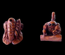 Load image into Gallery viewer, Scorpio Carved Scorpion Boxwood Ojime/Netsuke Bead | 30x15x13mm | Brown