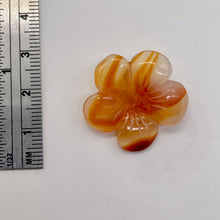Load image into Gallery viewer, Plumeria! Carved Carnelian Hawaiian Flower Bead | Orange | 25x6mm | 1 Bead |