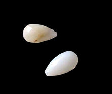 Load image into Gallery viewer, 2 Glamorous White African Opal Faceted Teardrop Beads 4655