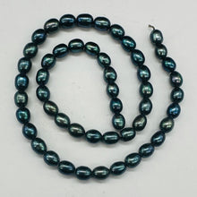 Load image into Gallery viewer, Fresh Water Perfect Beauties Pearl Strand | 8x6mm|Midnight Ocean Blue|50 Pearls|