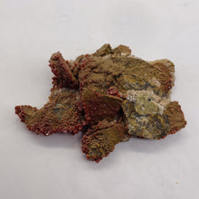 Load image into Gallery viewer, Chalcopyrite 38g Crystalline Specimen | 55x45z15mm | Magenta| 1 Display Crystal|