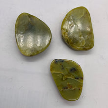 Load image into Gallery viewer, Turquoise Faustite Freeform Beads| 28x19 to 27x18m | Chartreuse, Black| 3 Beads|