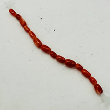 Load image into Gallery viewer, Coral Natural Oval Beads | Salmon, Red | 14 Beads | 5x3 to 7x4mm |