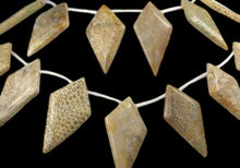 Load image into Gallery viewer, Pre-Cambrian Fossilized Coral Briolette Bead 8 inch Strand 9171HS