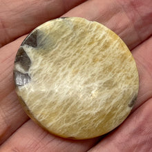 Load image into Gallery viewer, Big Cat Natural Untreated Feldspar 35mm Coin Pendant Bead | 35x5.5mm | 1 Bead |