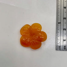 Load image into Gallery viewer, Plumeria! Carved Carnelian Hawaiian Flower Bead | Orange | 25x6mm | 1 Bead |