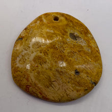 Load image into Gallery viewer, Fossilized Coral Round Pendant Bead | 41x40x7mm | Beige Orange |