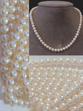 Load image into Gallery viewer, AAA Natural Wedding White Round 6.5-6mm FW Pearl Strand 104499
