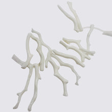 Load image into Gallery viewer, Coral Branch Beads | 37x3 to 30x2mm | White | 14 Beads |