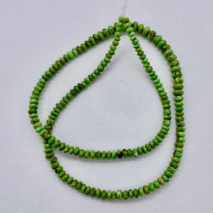 Gaspeite Hi Grade Graduated Rondelle Strand | 5 to 3mm| Green Brown | 165 Beads|