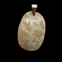 Load image into Gallery viewer, Coral Fossilized with Tiny Critters Sterling Silver Pendant | 2 1/4" Long |