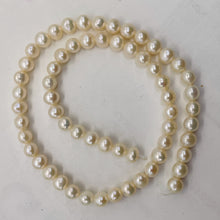 Load image into Gallery viewer, Premium 6.5 x 7mm Cream White FW Pearl Strand 101304