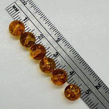 Load image into Gallery viewer, Amber Round Beads | 6 1/2 mm | Yellow | 8 Beads |