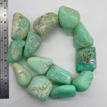 Load image into Gallery viewer, Designer Natural Chrysoprase Nugget Bead 229g Strand |32x26x9mm to 27x23x16mm|