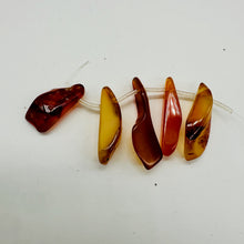 Load image into Gallery viewer, Designer 6 Wild Natural Carnelian Drop 20x6x5mm to 32x11x6mm Beads 8972