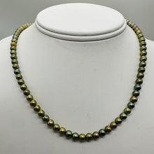 Load image into Gallery viewer, Fresh Water Pearls 16" Strand Round Pearls | 5mm | Golden Green | 1 Strand |