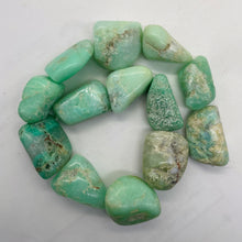 Load image into Gallery viewer, Designer Natural Chrysoprase Nugget Bead 229g Strand |32x26x9mm to 27x23x16mm|