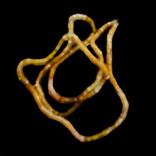 Load image into Gallery viewer, Natural Multi-Hue Zircon Faceted Bead Strand 107452A