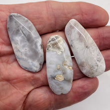 Load image into Gallery viewer, Ocean Jasper Old Stock Long Oval Beads| 45x22x6 to38x20x7mm| White, Gray|3 Beads