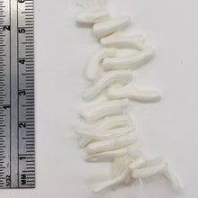 Load image into Gallery viewer, Coral Branch Beads | 16x3 to 12x2mm | White | 14 Beads |