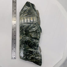 Load image into Gallery viewer, Seraphanite Incredible Large Freeform Mineral Specimen| 6x2x1/2"| Green, Silver|