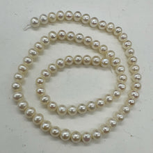 Load image into Gallery viewer, AAA Natural Wedding White Round 6.5-6mm FW Pearl Strand 104499