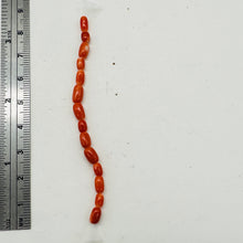 Load image into Gallery viewer, Coral Natural Oval Beads | Salmon, Red | 14 Beads | 5x3 to 7x4mm |