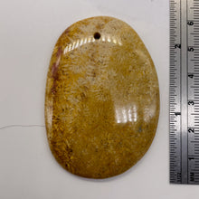 Load image into Gallery viewer, Fossilized Coral Oval Pendant Bead | 58x41x6mm | Beige Orange |