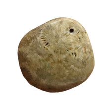 Load image into Gallery viewer, Coral Fossilized with Tiny Critters Pendant Bead | 46x43x8mm | 1 Bead |