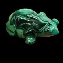 Load image into Gallery viewer, Malachite 53g Gemstone Carving Frog Figurine | 1 Specimen |