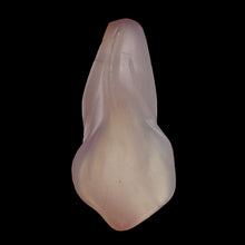 Load image into Gallery viewer, Chalcedony Carved Lily Flower Beads | 33x15x10 to 27x13x8mm| Light Lavender | 4|
