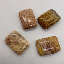 Load image into Gallery viewer, Fossilized Coral Rectangle Pendant Beads | 24x17x7mm | Red, Brown | 4 Beads |