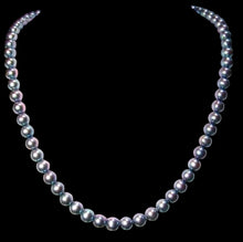 Load image into Gallery viewer, Spectacular Natural Forget-Me-Not Hued 6.5mm Freshwater Pearl Strand 103079