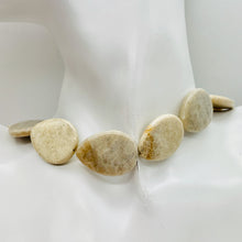 Load image into Gallery viewer, Fossilized Coral Flat Pear Pendant Bead Strand 107084