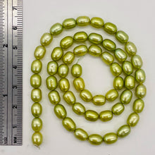 Load image into Gallery viewer, Fresh Water Pearl 16" Strand Oval | 8x5mm | Golden Chartreuse Green | 56 Pearl |