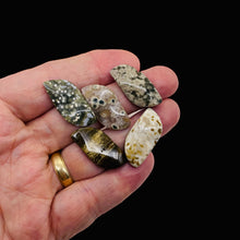 Load image into Gallery viewer, Ocean Jasper Wavy Pendant Beads - Assorted Colors 31x16x5mm 6857E