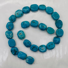 Load image into Gallery viewer, Natural Turquoise Flat, Smooth Nuggety Bead Strand 109352