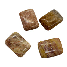 Load image into Gallery viewer, Fossilized Coral Rectangle Pendant Beads | 24x17x7mm | Red, Brown | 4 Beads |