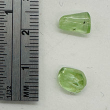 Load image into Gallery viewer, 1 AAA Mint Green Peridot 8x5 to 10x10mm Nugget 1166C