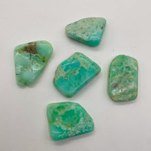 Load image into Gallery viewer, Designer Natural Chrysoprase Beads | 212cts! | 35x20x4 to 34x24x7mm | 5 Beads |